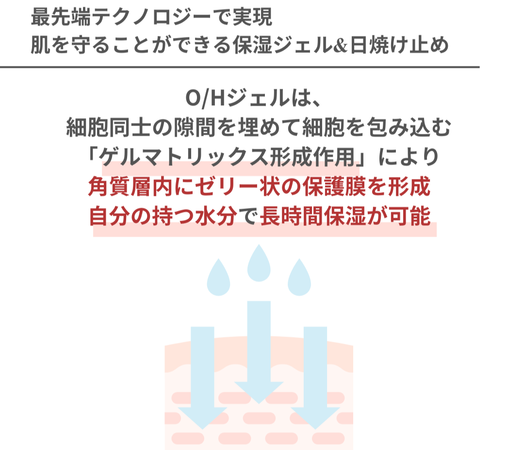 最新テクノロジーの保湿剤 OHジェルの仕組み