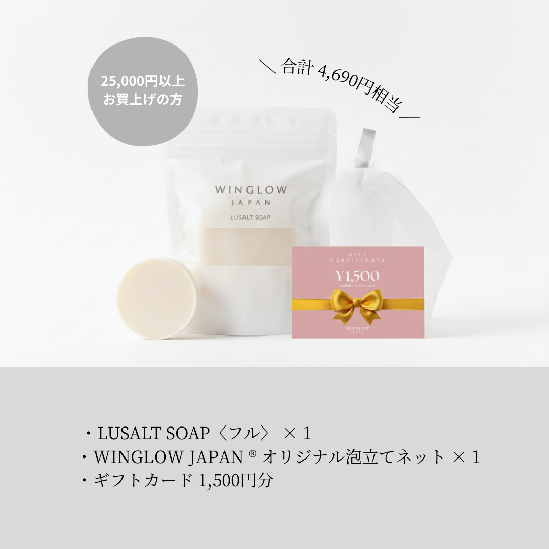 WINGLOW 炭酸ペーストパック (100g)